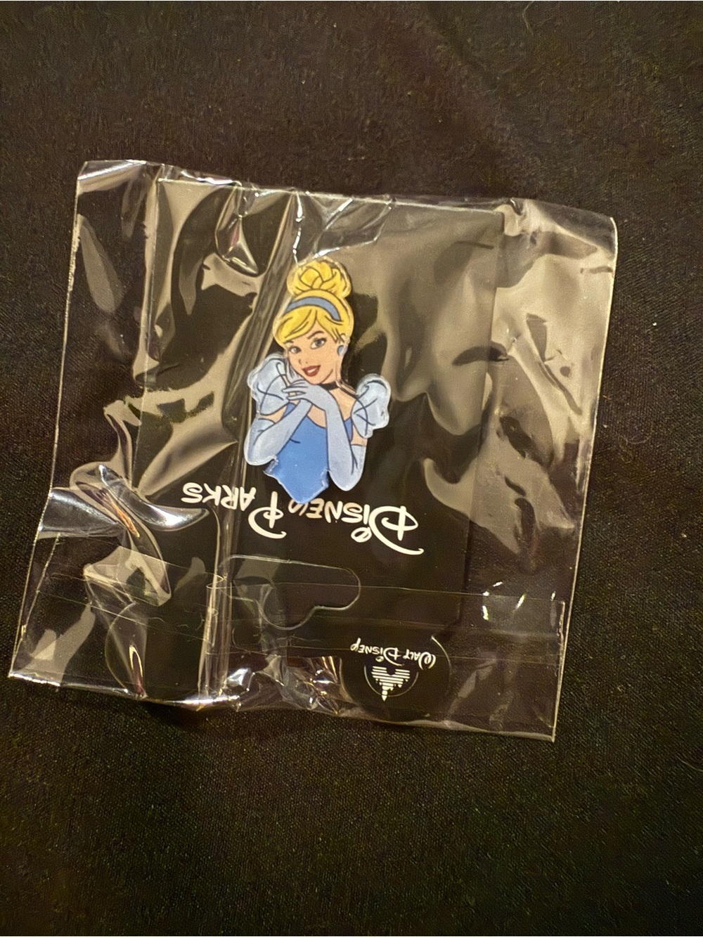 🌟Pick Any 3/$20 Sale Cinderella Pin